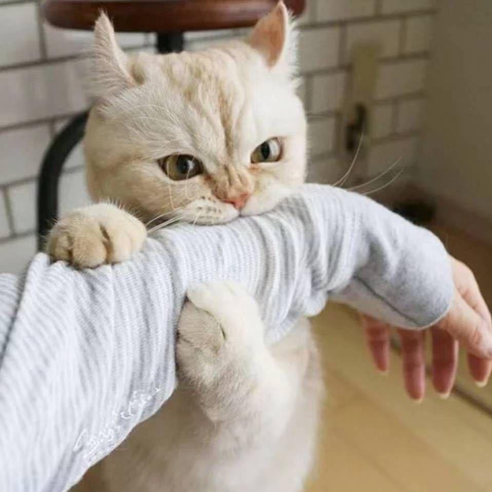 粗溜.