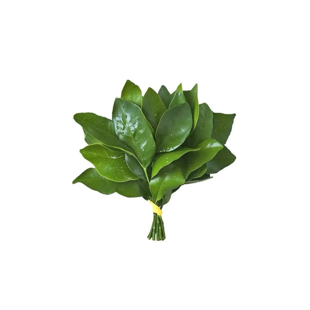 碎嘴子代