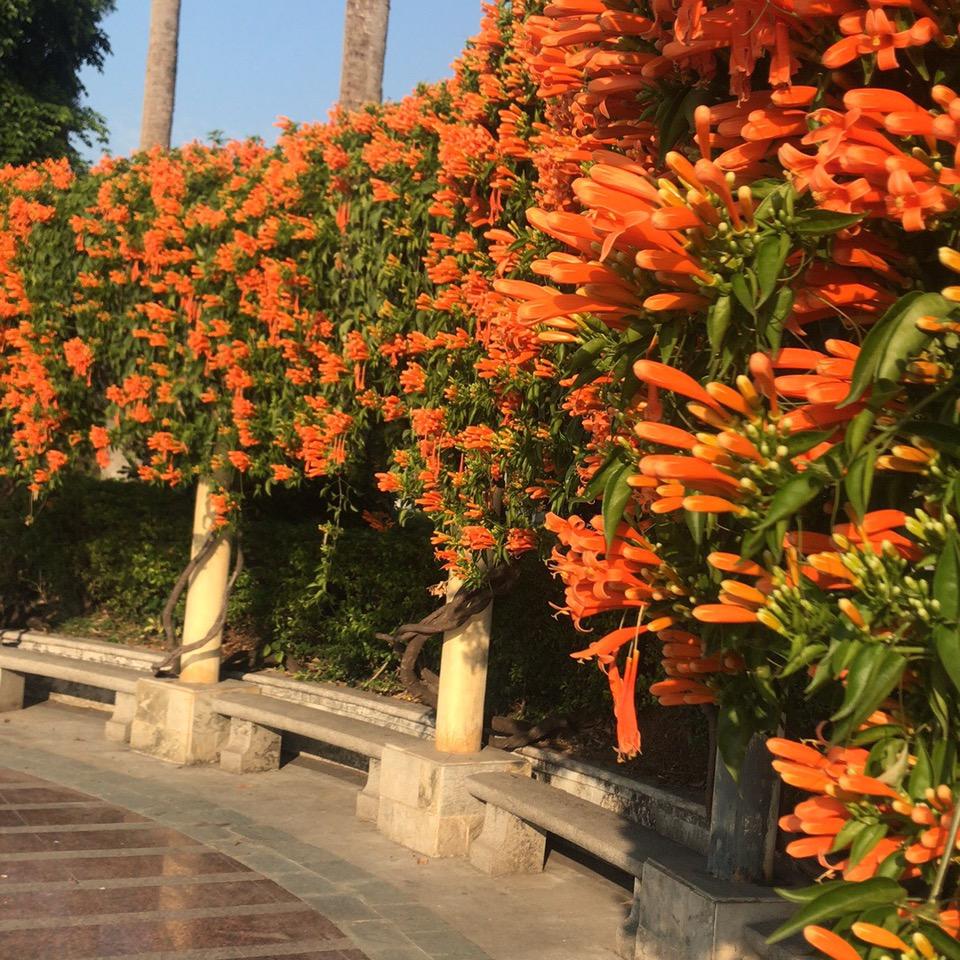 平安、健康、快乐