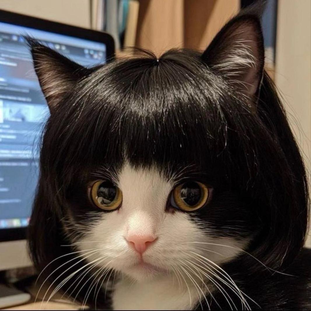 赵财进宝