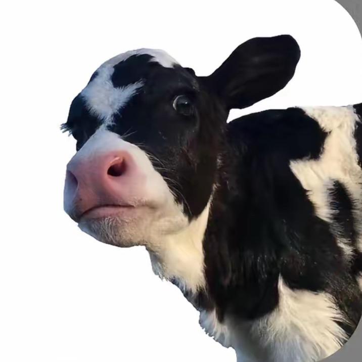 ˃̶͈̀🜲˂̶͈́