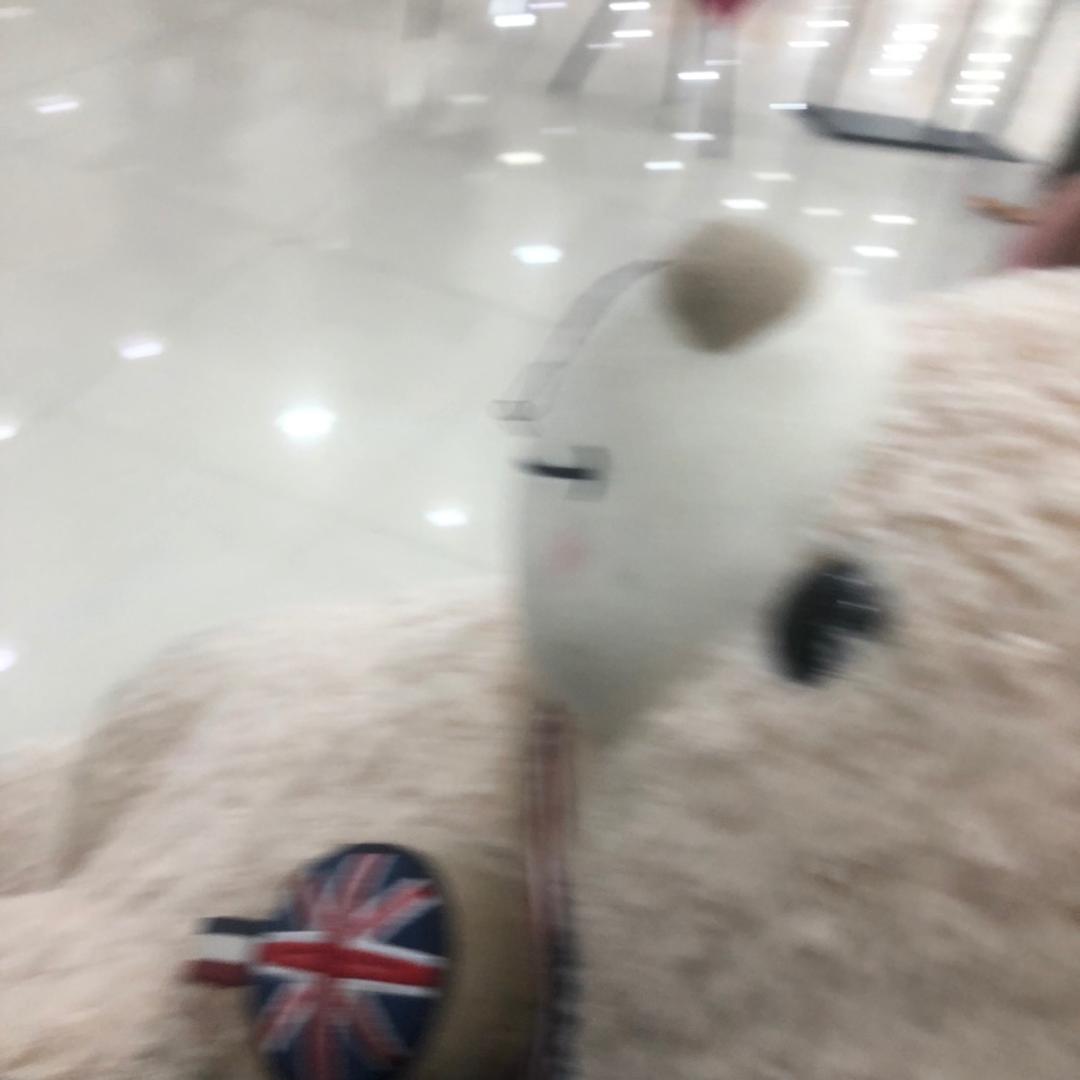 友枝町