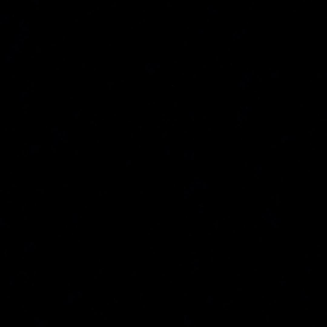 鲨骑马