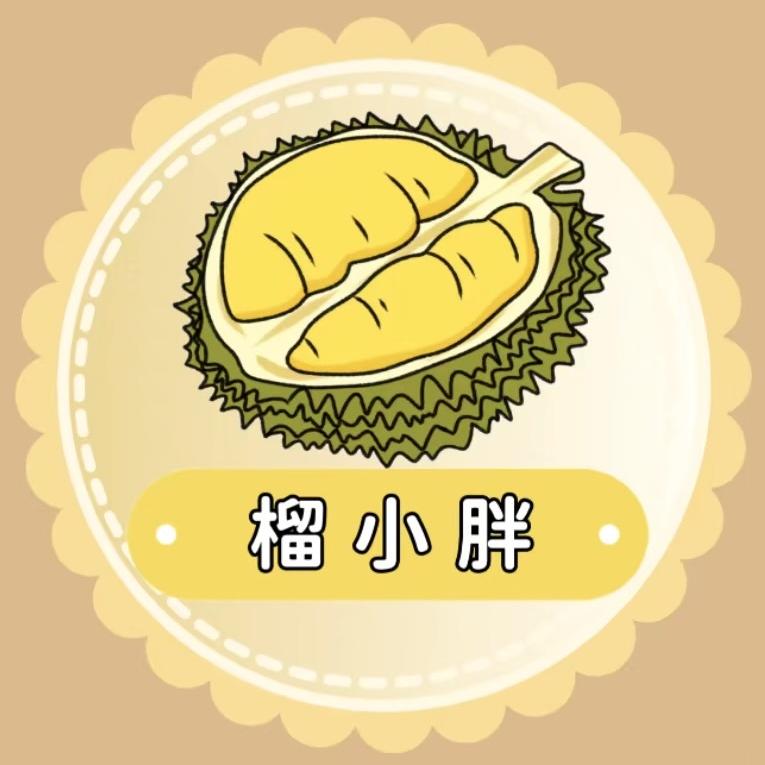 榴小胖榴莲到家小时达