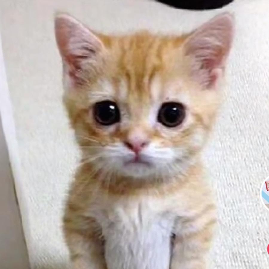 权