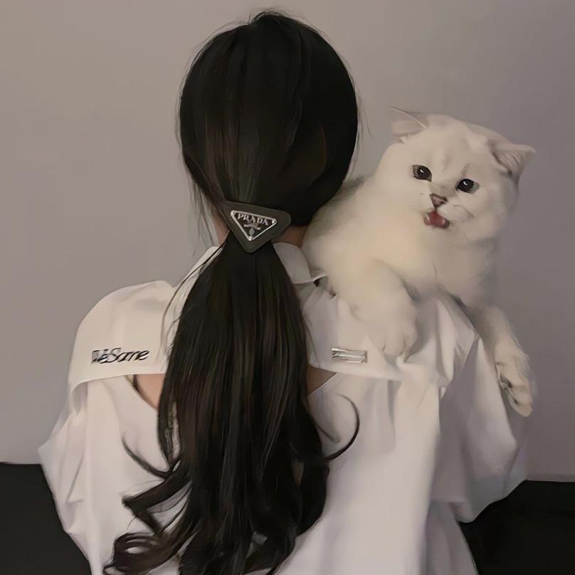 金戈戈