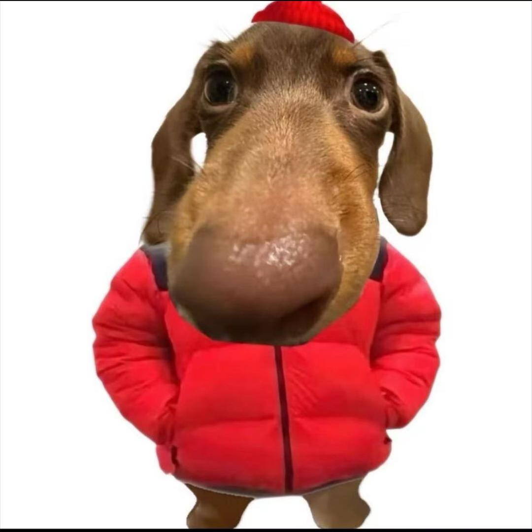 陈 鸿儒
