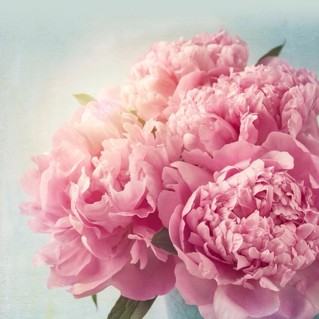 广信区美呀呀服装商行