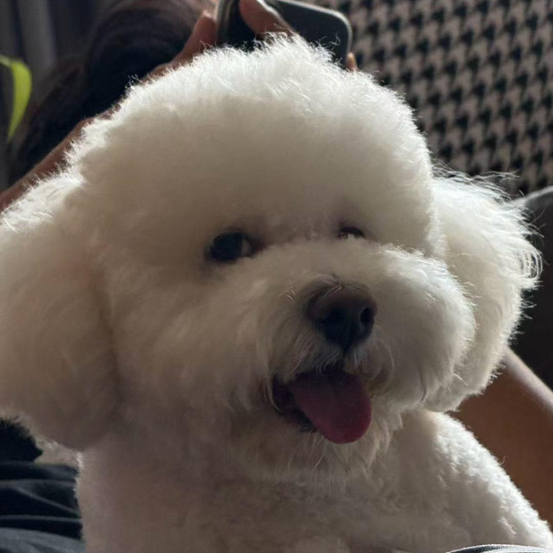 小熊爸爸丶