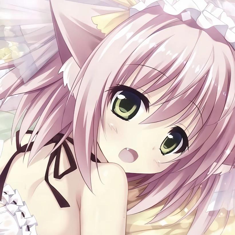 吐司小猫包