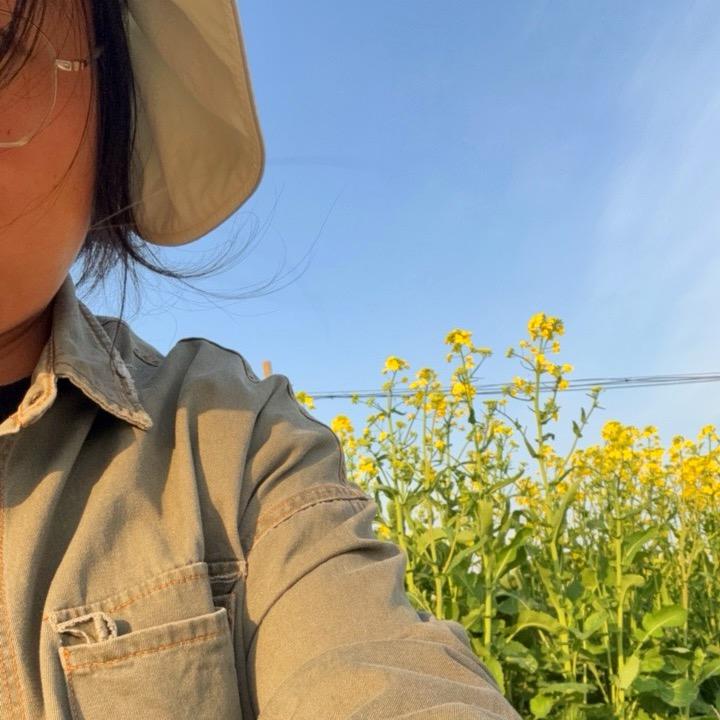 丰收小菜园