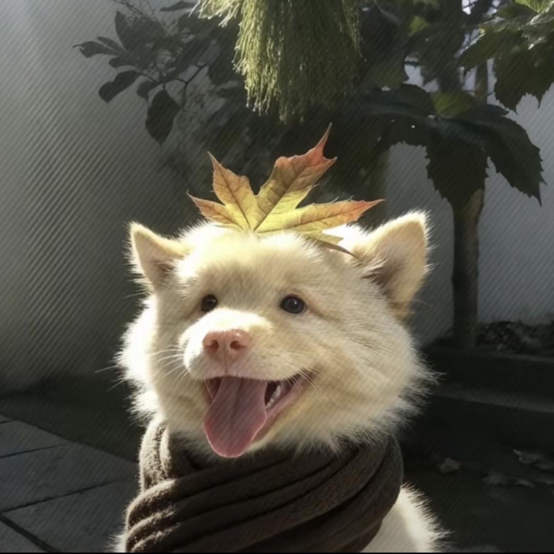 睡不醒