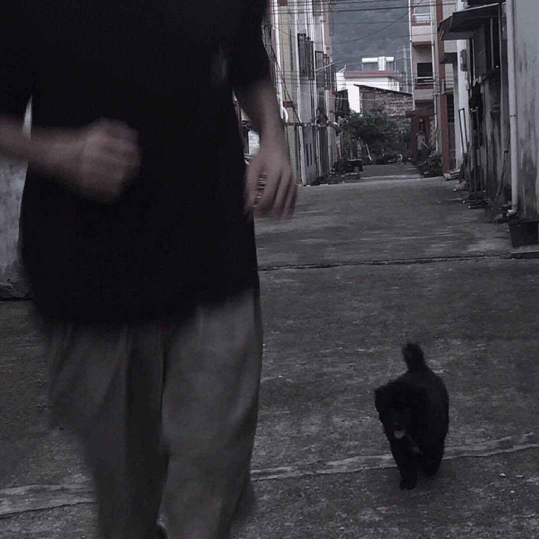陨馍