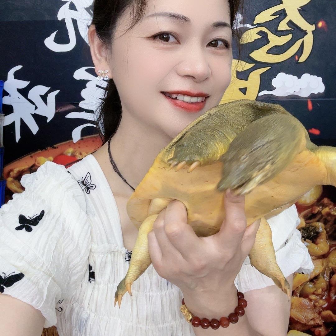 小虎牙甲鱼
