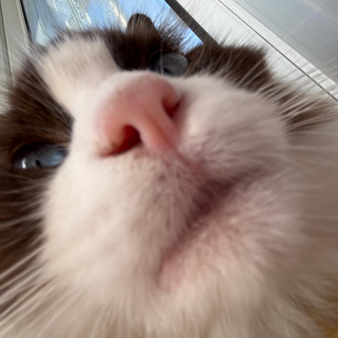 少敷衍我了