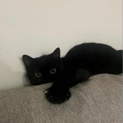 给你好脸给多了