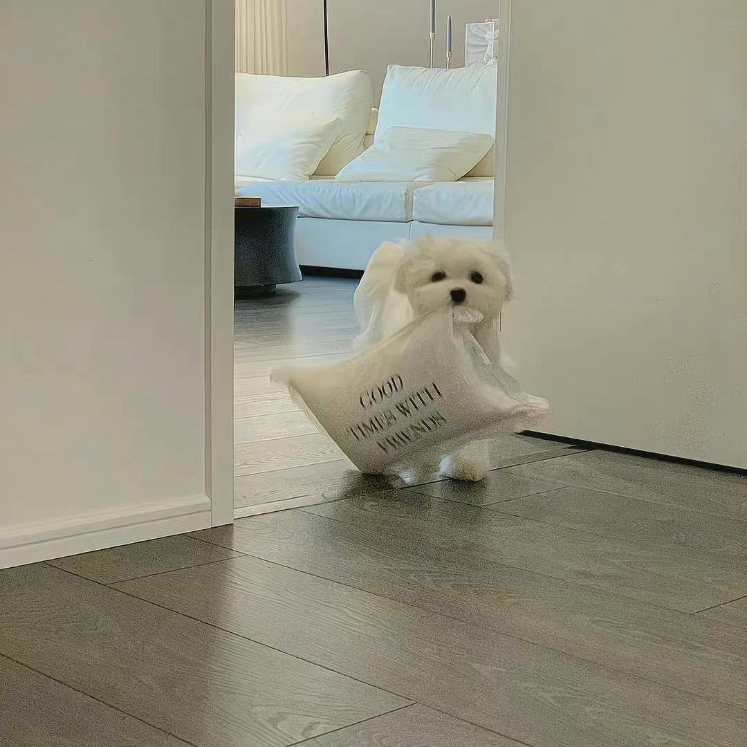 屋里七七