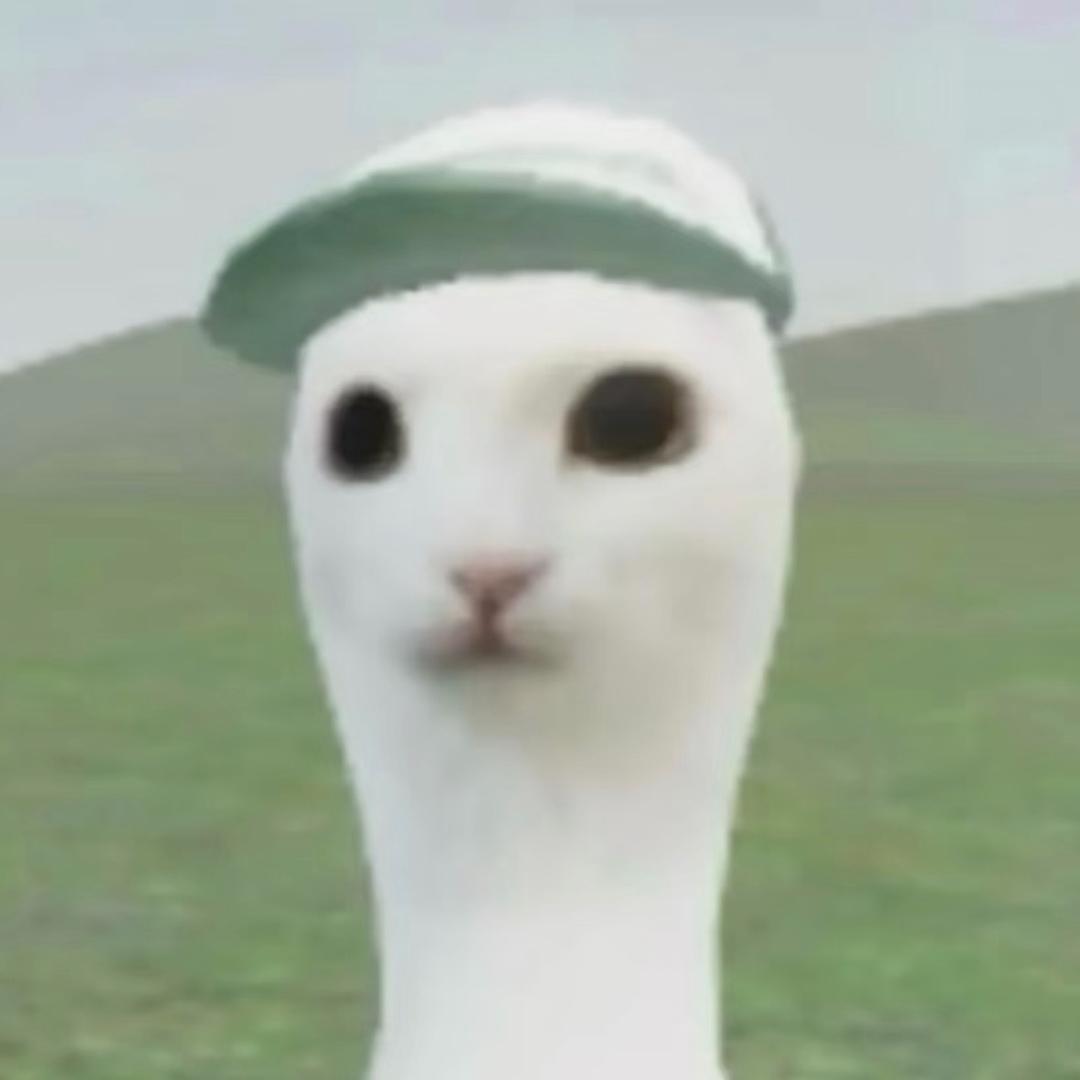 Cc