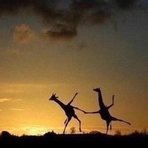 见自己