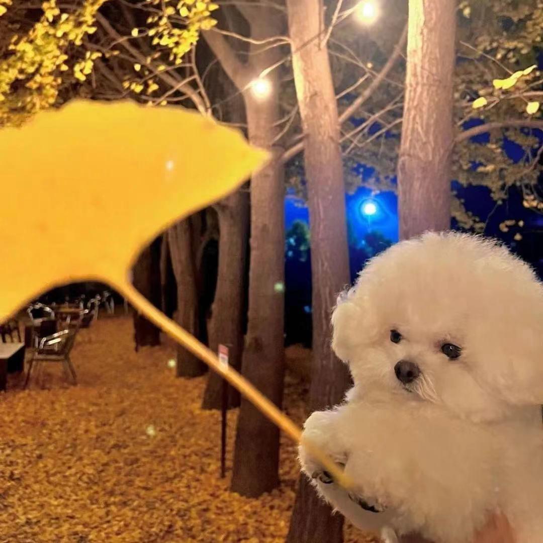 小王困了