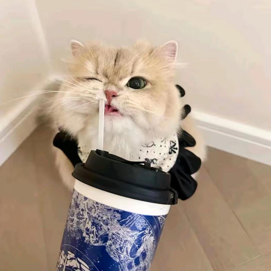 💞