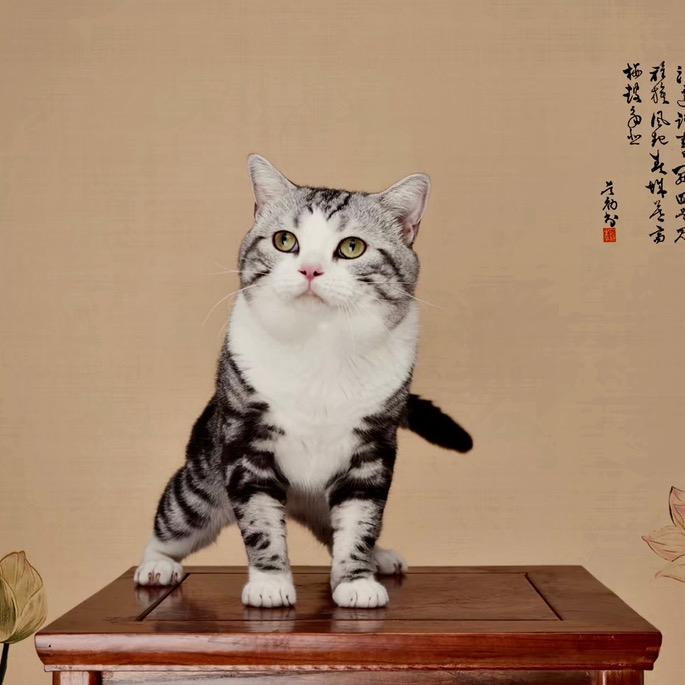 怎么回去