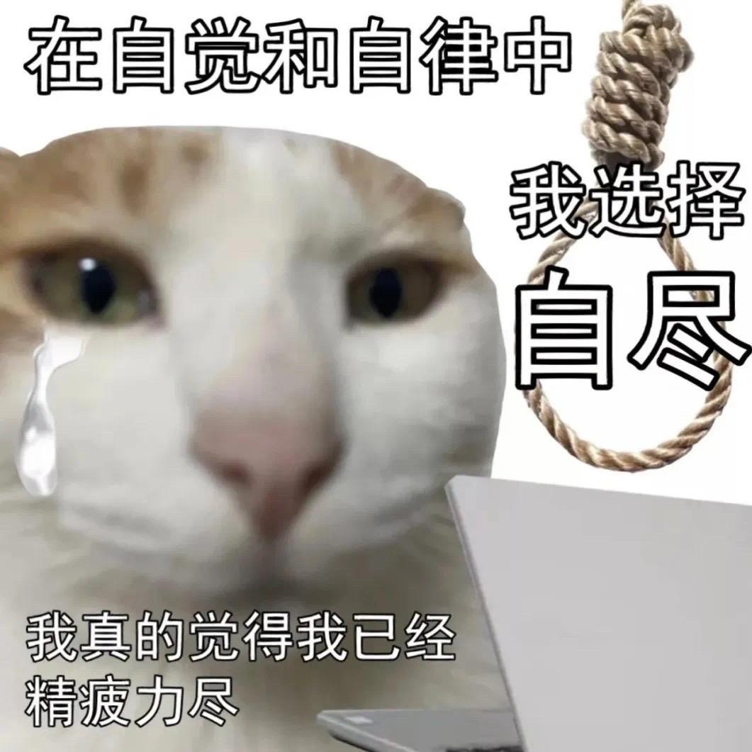 小羊肖恩