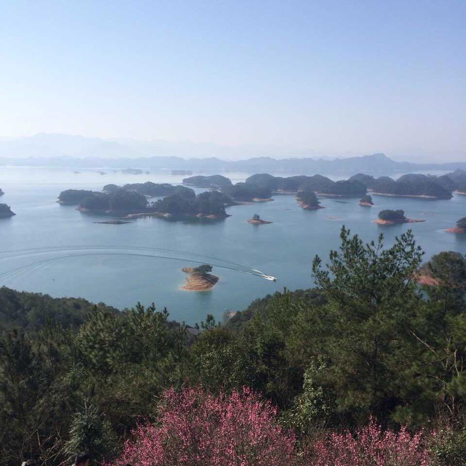 一揽芳华醉流年