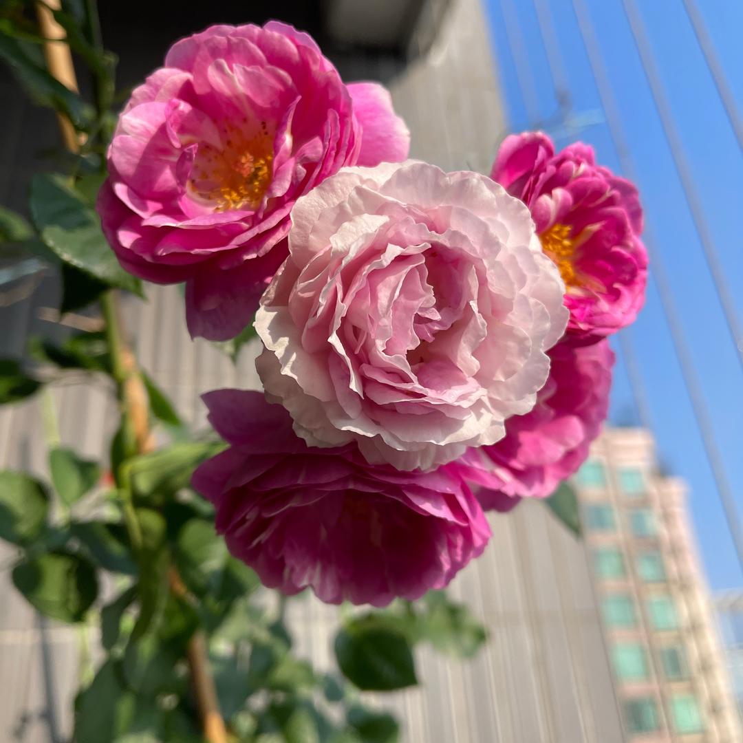 一米阳光☀️