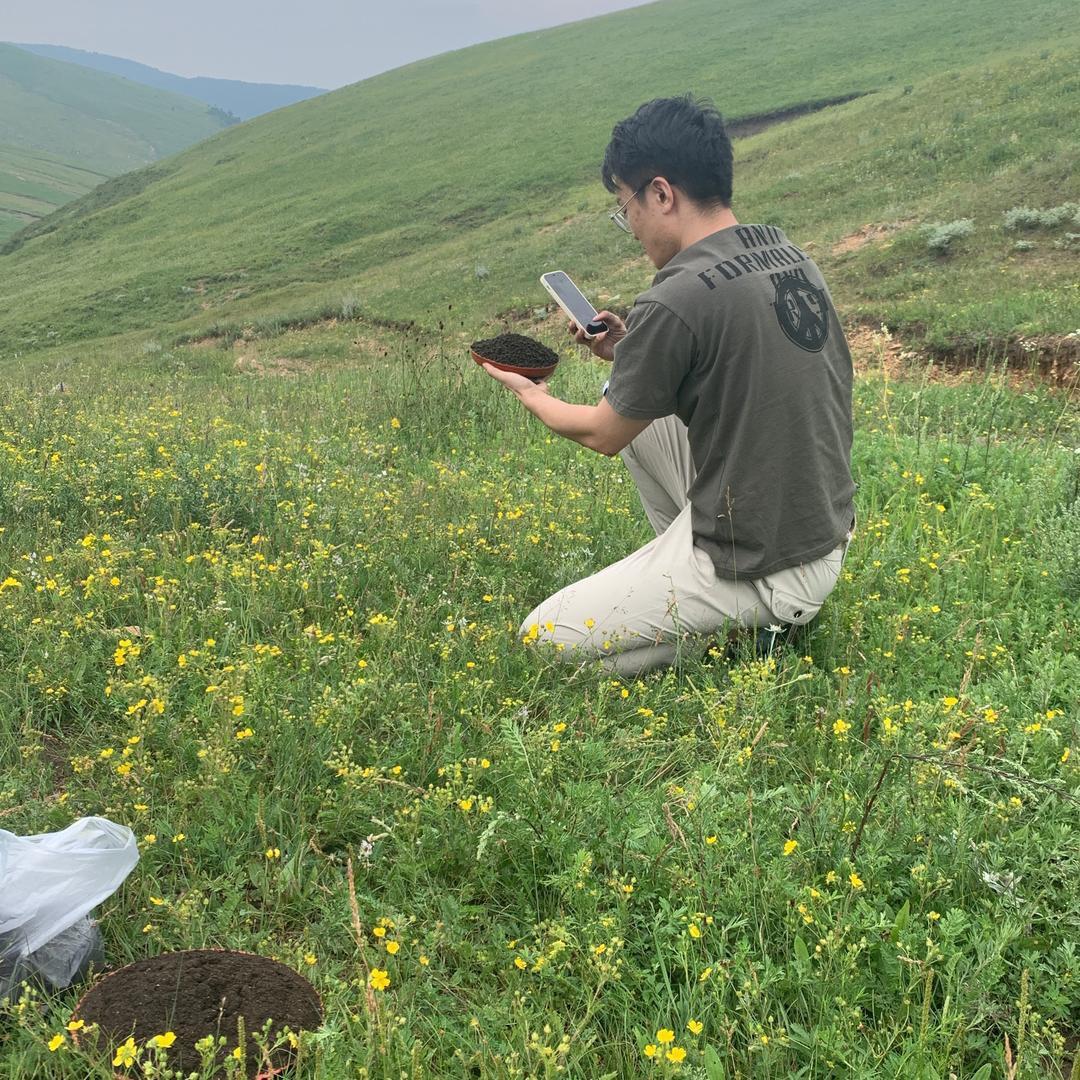 小杨厂长发酵羊粪肥