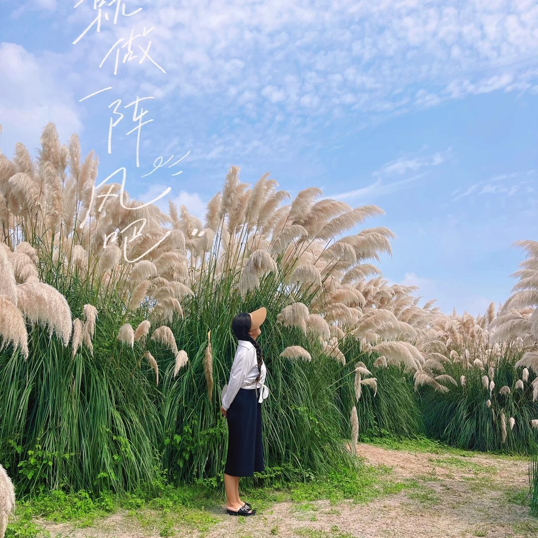 小岛上的院子——世业洲院子里农家乐