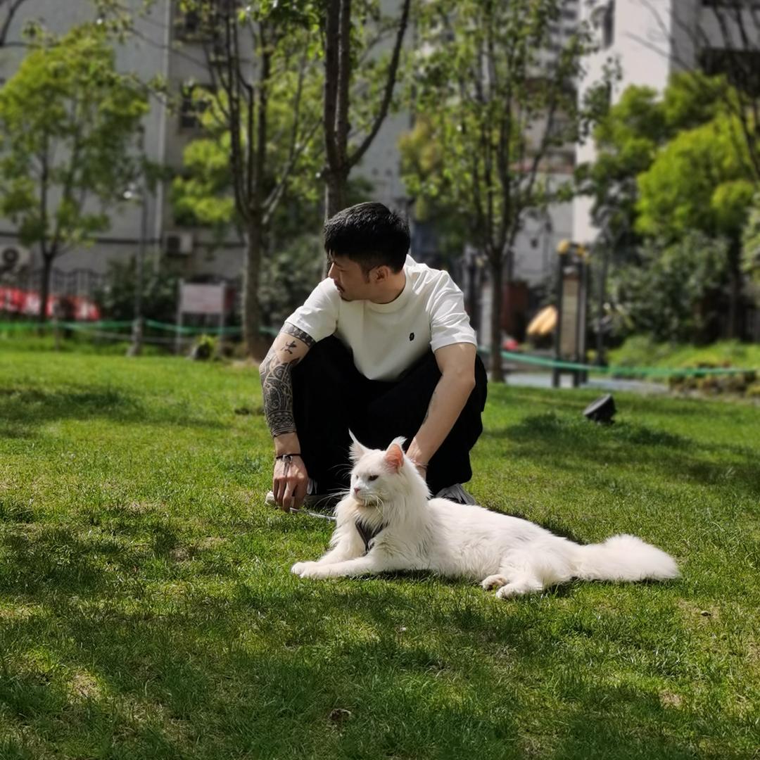 6只鹤