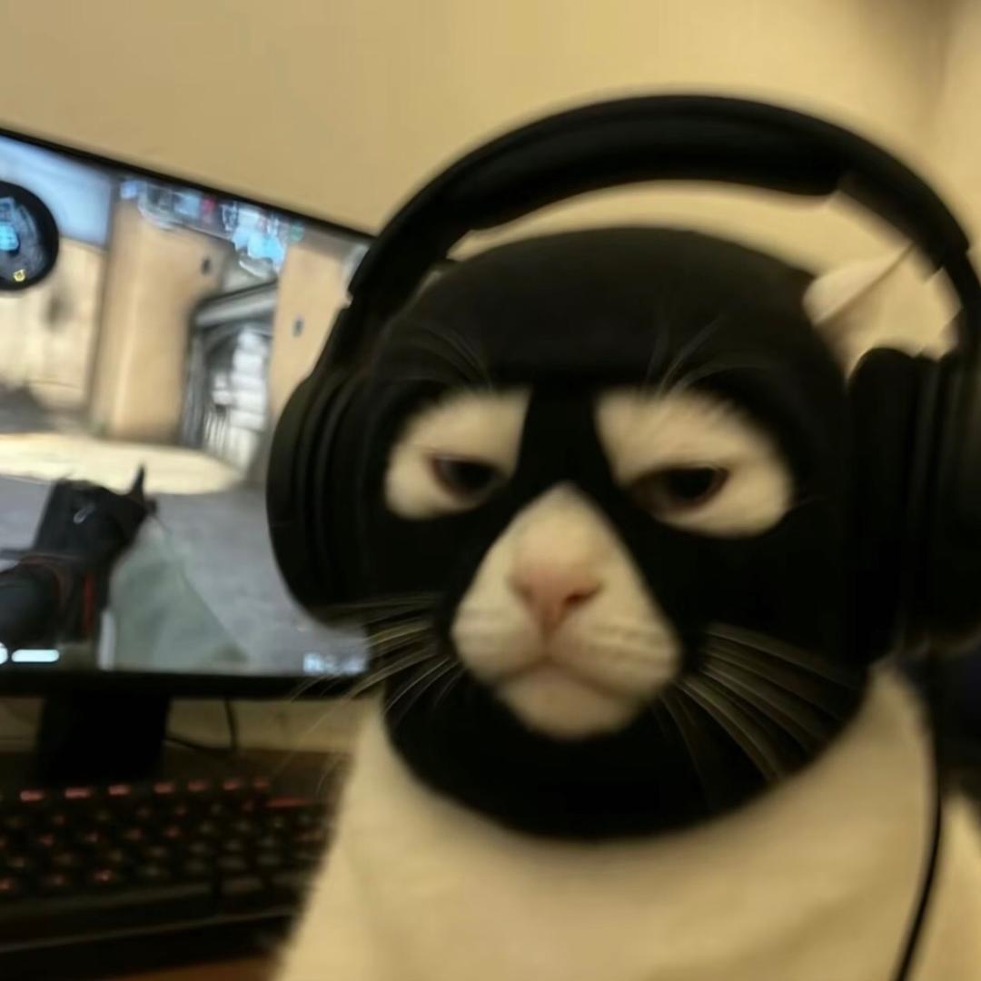 小智(StatTrakT™战痕累累版)