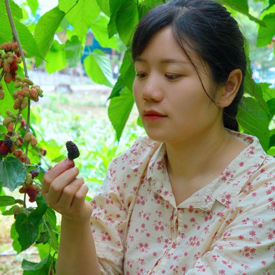 厨小花