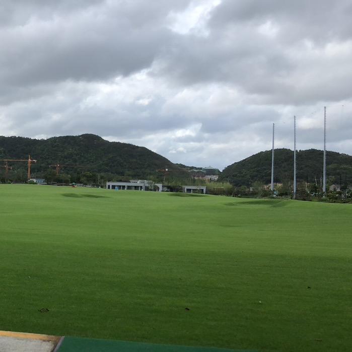 ⛳️高球王教（简单易学版）
