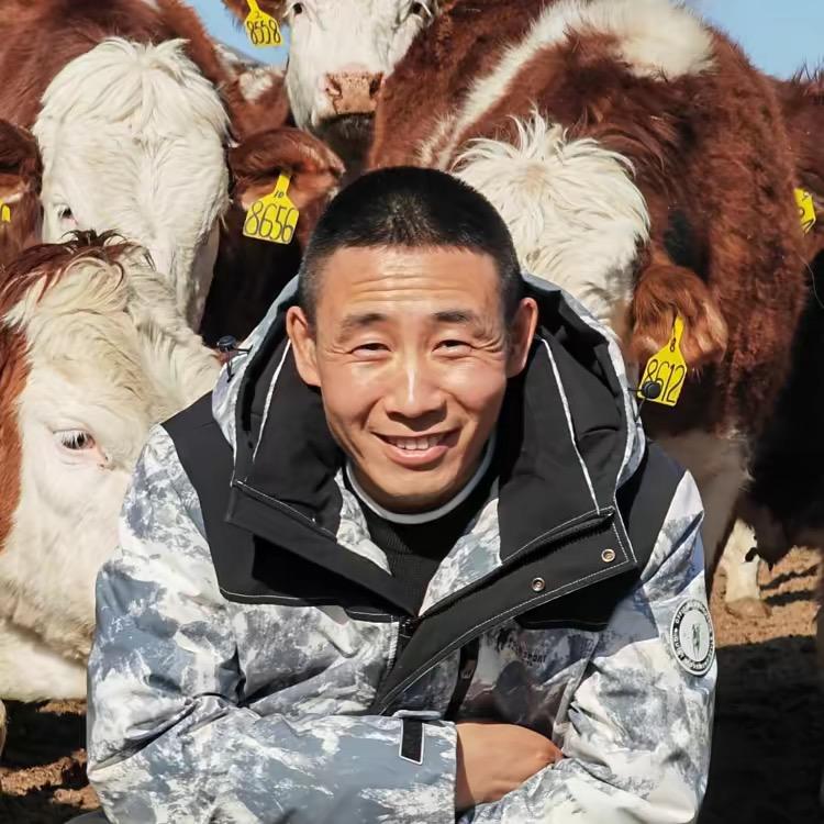 养牛小王