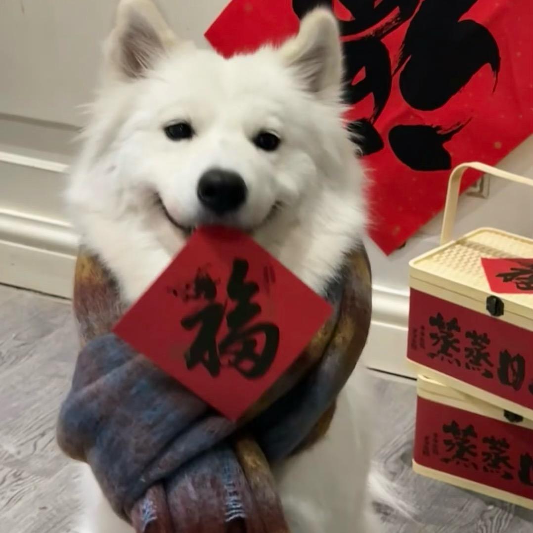A-YAN