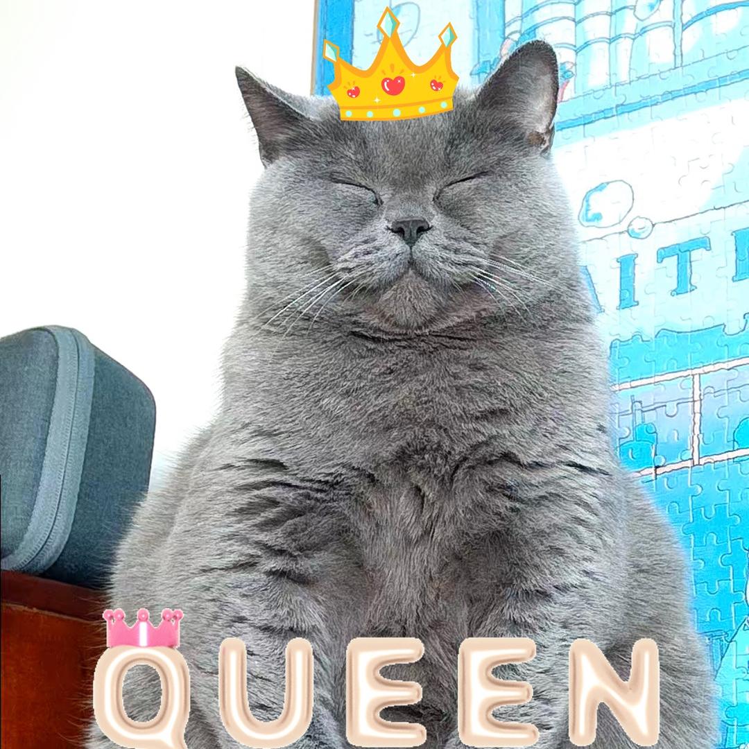 格格千岁千千岁