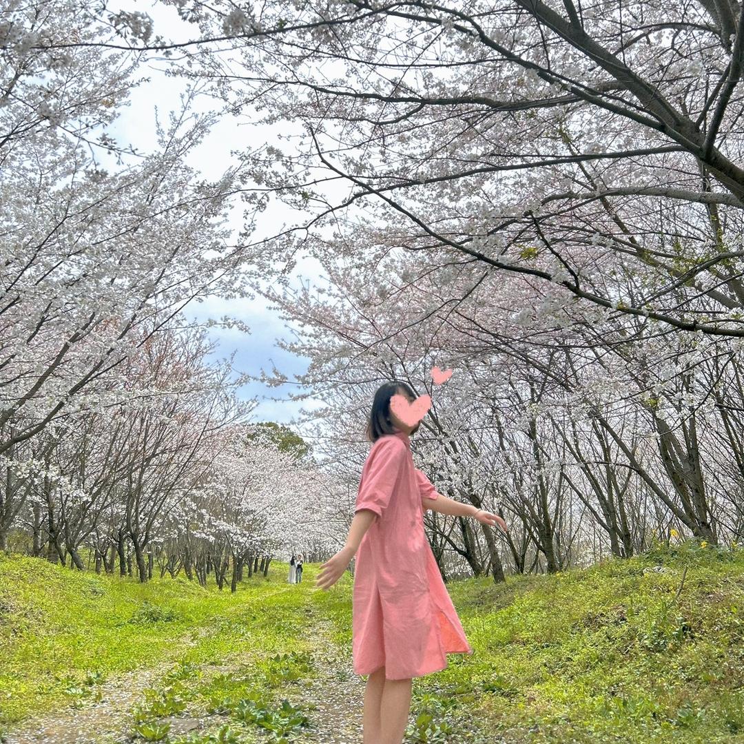 皮卡Li
