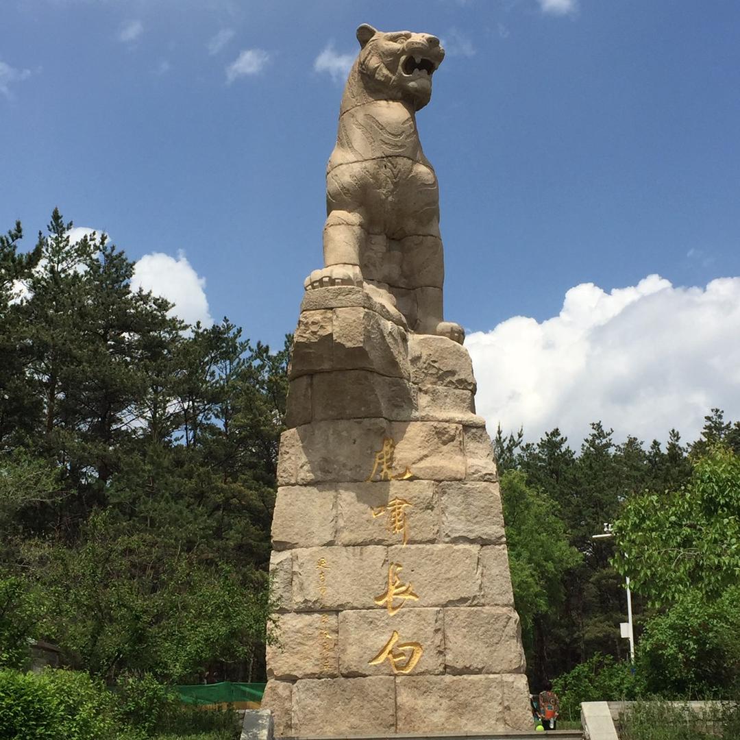 潇洒跟哥走