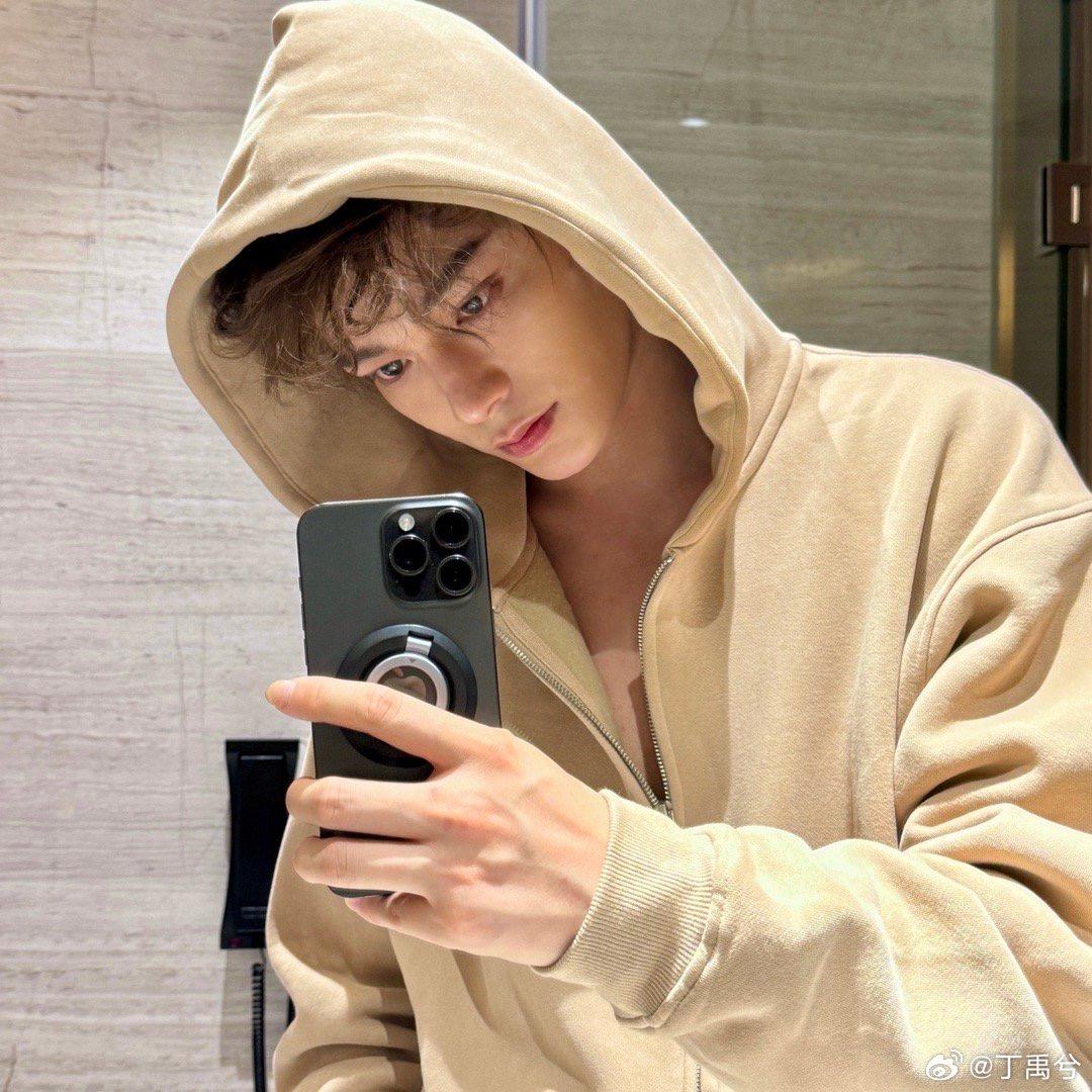 休斯顿小狗