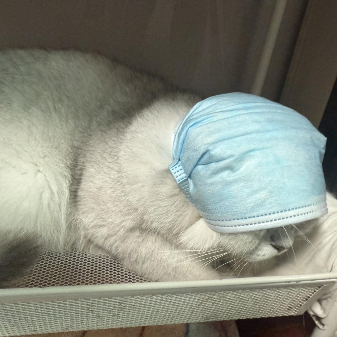 王江峰同锐企业服务小铺