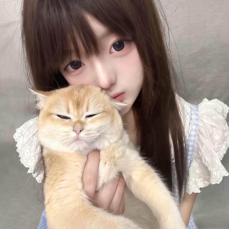 小猫乖乖不听话