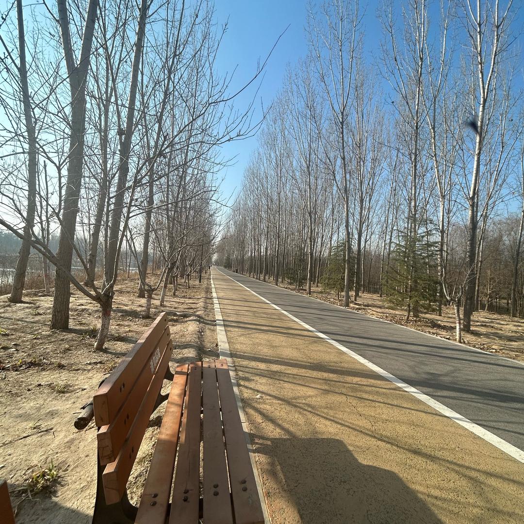 孟🎋想成真🎋