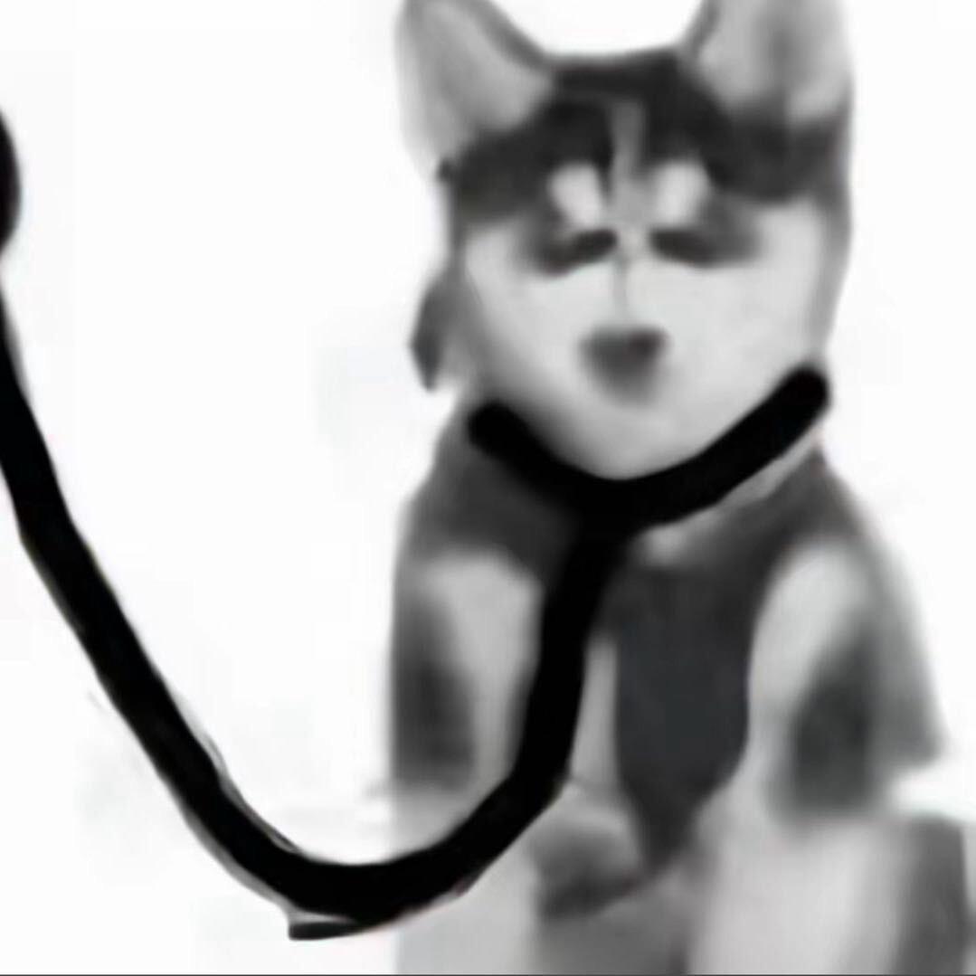 圸君