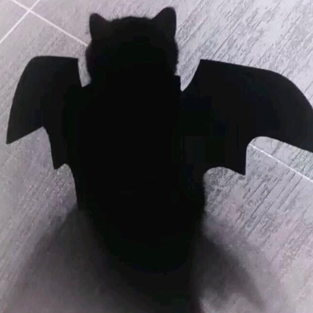 恋怡