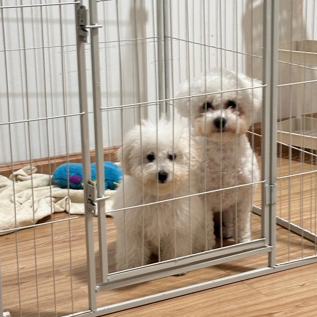 直播搭建 影棚道具制作