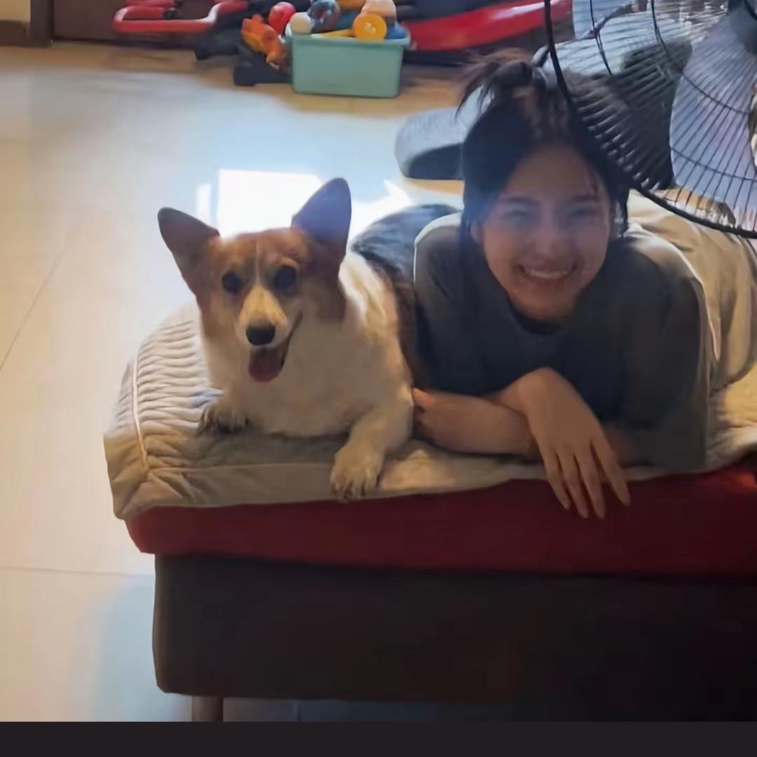 百变马丁.