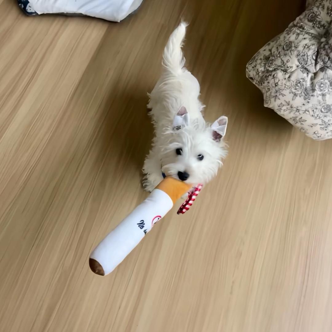 Simon