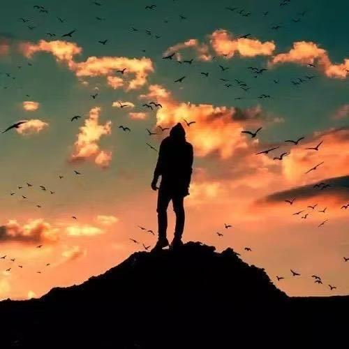 上海（驻场领队）